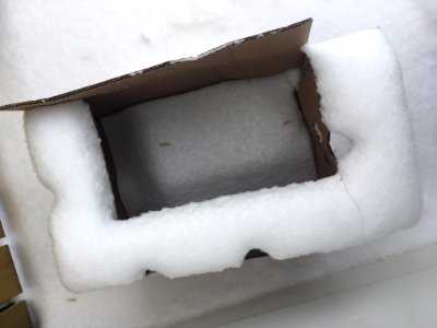 Here's The Box of Snow We Ordered