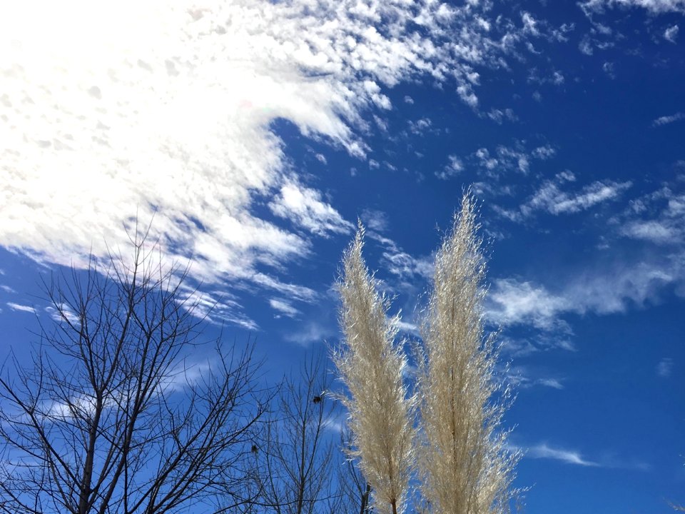 Brush the Sky