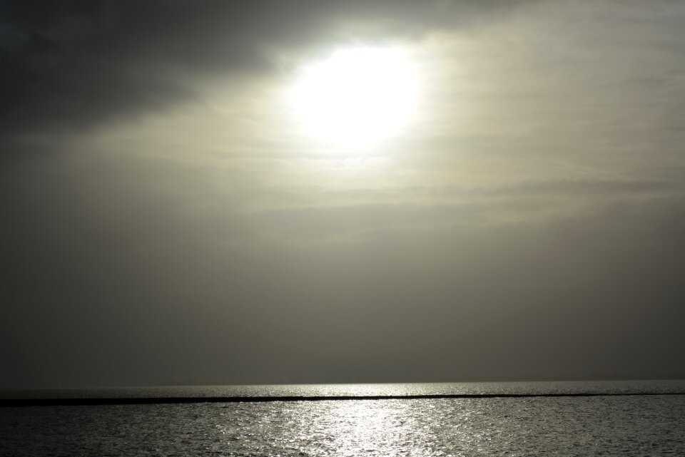Sea nature wadden sea