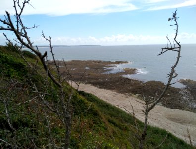 Bord de mer
