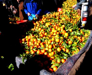 Abundance of vitamins