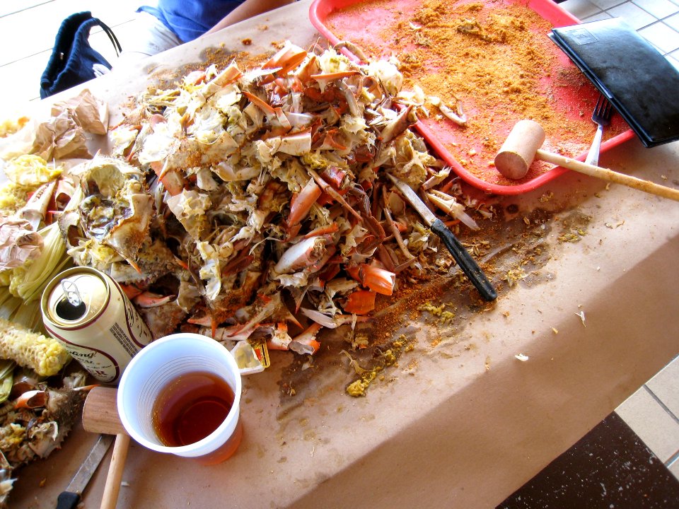After the Gorging