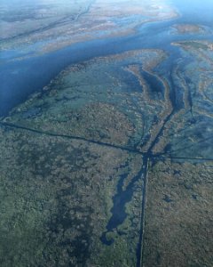 The western shore of Lake Okeechobee #aerialview #Florida #huffpostgram #naturelovers #natgeotravel #livetravelchannel #aerialphotography #lakeokeechobee #visitflorida #pureflorida #lovefl #instagram florida #pureflorida photo