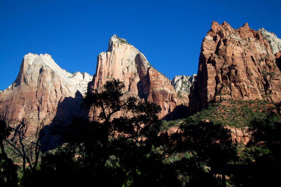 Sculpted Zion Rock