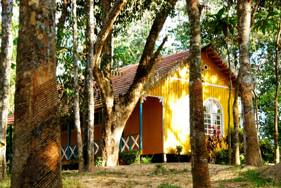 Assis Lima Cap. Ciríaco  Rio Branco AC     (7)