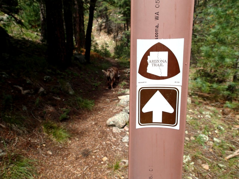 On a Piece of the Arizona Trail