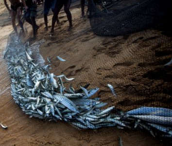VitorJubini PraiadeItaparica VilaVelha ES17