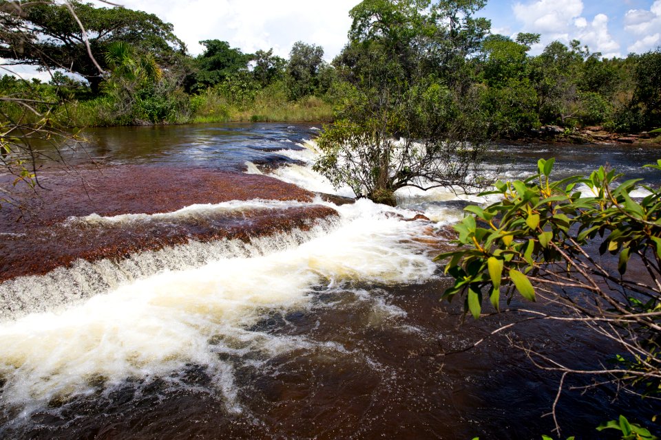 FlavioAndre CachoeiradoSoninho PonteAltadoTocantins TO