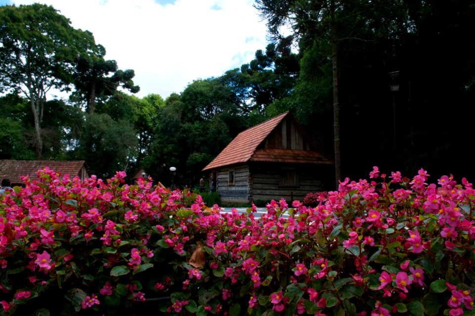Renato Soares Bosque Joao Paulo II Curitiba PR