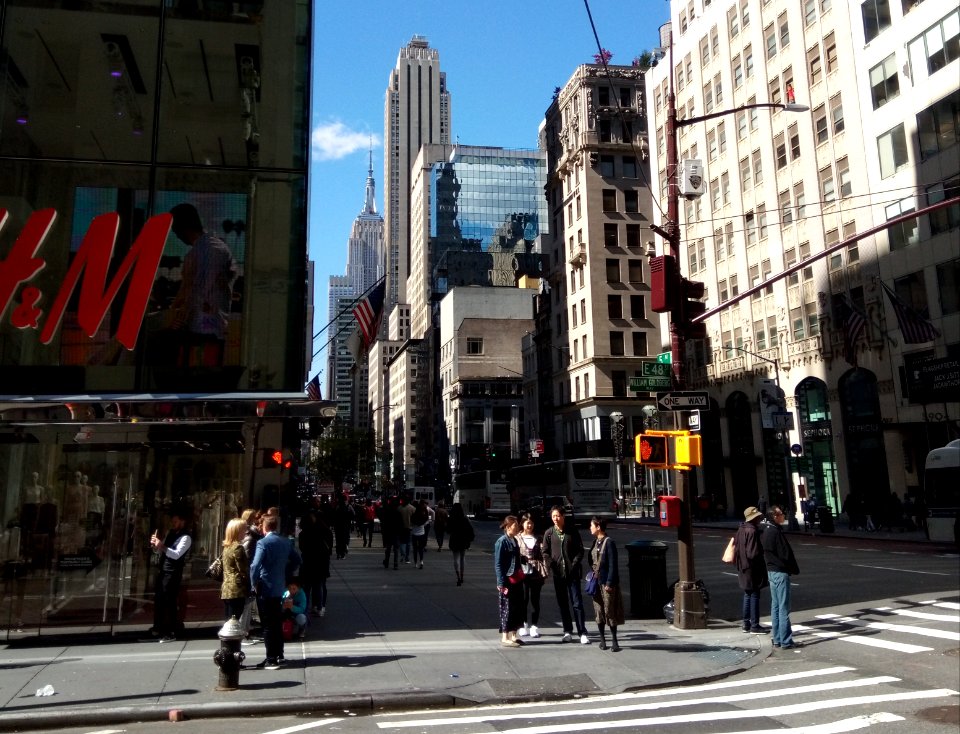 Street Scene , 5th Ave & E 48th Street , William Goldberg Way , Manhattan , New York , USA