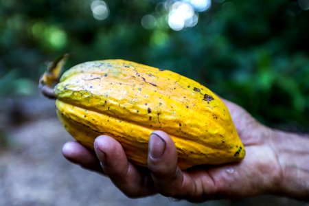 KikoSierich CacauIlhadeSaoFrancisco Guaira Parana
