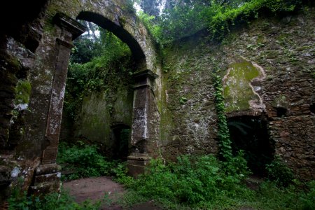 ROGERIO CASSIMIRO ruinas da igreja ermidas do guaibe BERTIOGA SP photo