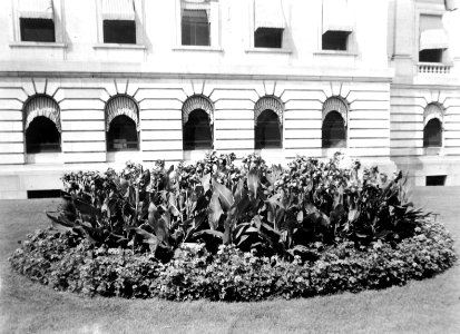 1928 (pre) Bureau of Plant Industry Scrapbook Files USDA Research NAL 11.4 (135)