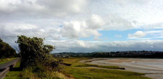 IMG 20190822 150132 Tarka Trail - Bridge - Petroc College - River Taw - Barnstaple - North Devon