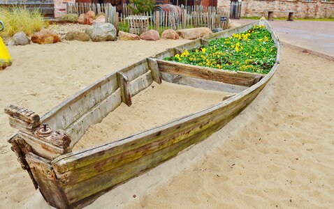 Flowers sand charge leisure