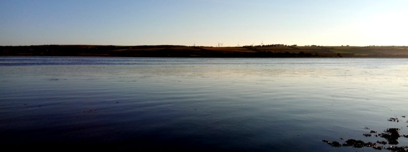 IMG 20190703 0608am 07  Wind Turbines - River Taw - Home Farm Marsh Nature Reserve - Fremington - North Devon - UK