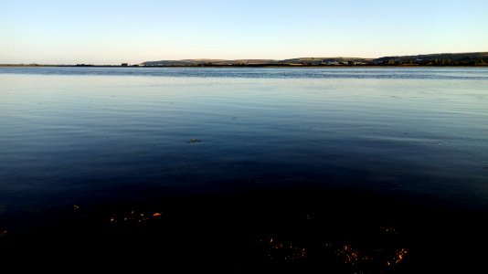 IMG 20190703 0608am 19  Royal Marines Base Chivenor - Braunton - River Taw - Home Farm Marsh Nature Reserve - Fremington - North Devon - UK
