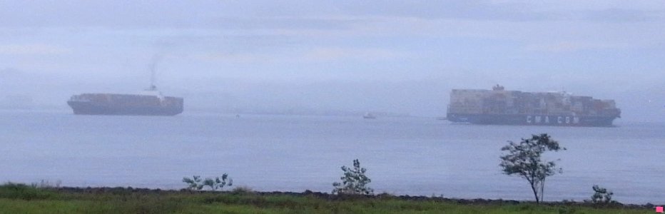 Container Vessels - Fort Hamilton - Verrazzano-Narrows Bridge - New York - USA