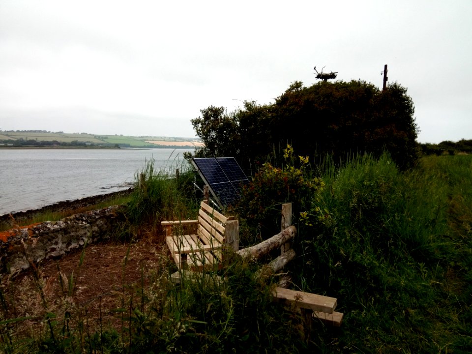 River Taw Osprey Project - Home Farm Marsh Nature Reserve - Fremington - Devon - UK