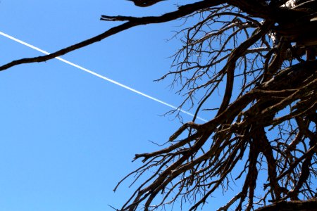 It's a bird, it's a plane... yes, it's a plane