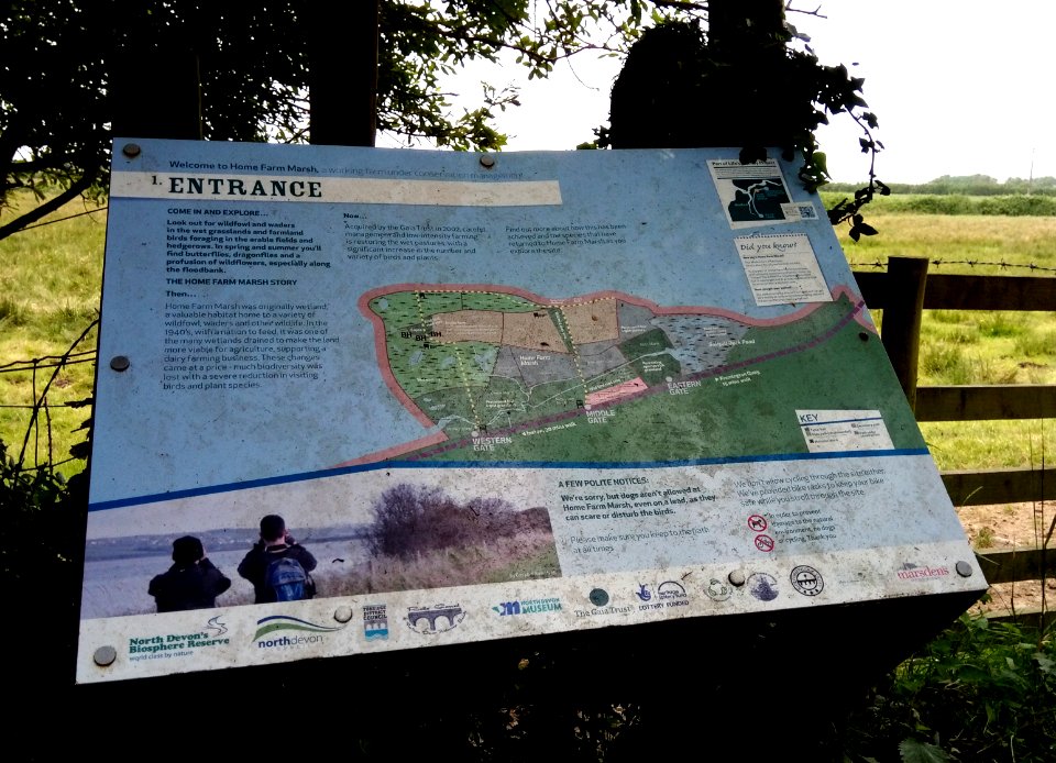 IMG 20190629 151111 - Home Farm Marsh Nature Reserve - Fremington - Devon - UK