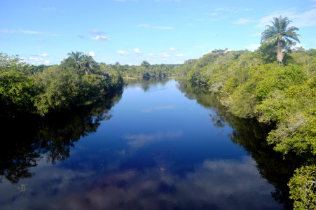 GleidsonSantos Pantanal dos Marimbus Mucuge BA photo
