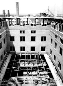 1929 (june 10) Admin Bldg Overhead view of patio construction USDA Construction Photo Collection (1)