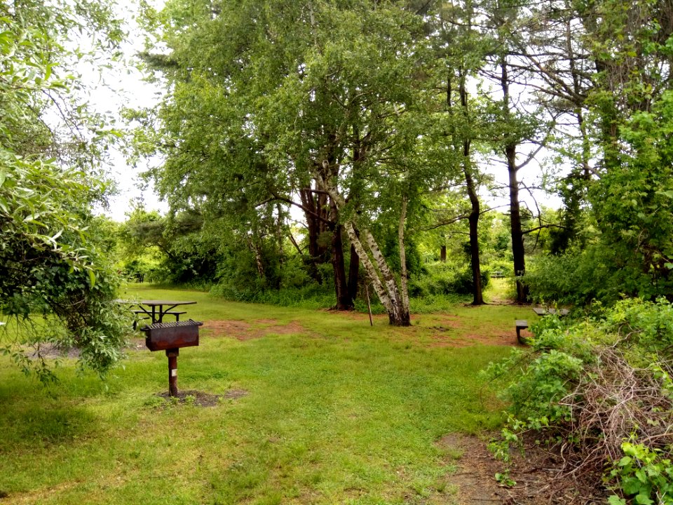 Camp Gateway - Floyd Bennet Field - New York - USA