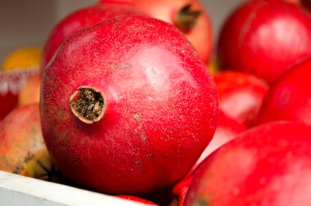 Fruit pomegranate red fruits