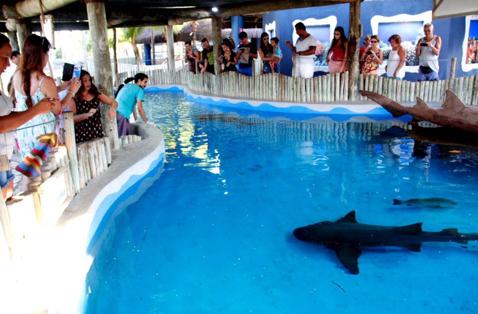 ClevertonRibeiro Oceanario Aracaju SE