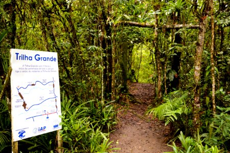 DanielVianna Parque Nacional Rio da Onca Matinhos PR