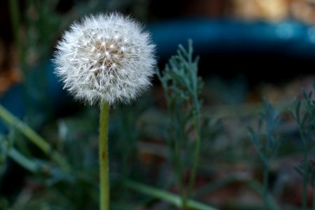 Huff and Puff...