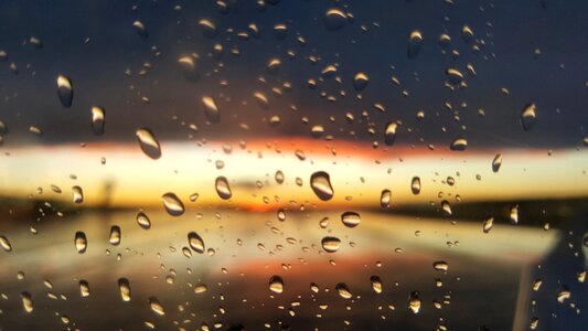 Sun raindrop wet photo