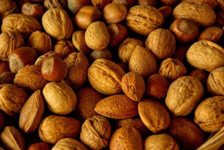Mix protein food