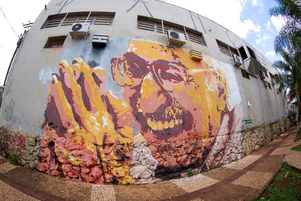 Flávio André Grafite Manoel de Barros Campo Grande MS