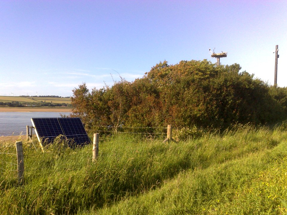 OSPREY NESTING POLE & SOLAR POWERED WEBCAM - HOME FARM MARSH - RIVER TAW - FREMINGTON - NORTH DEVON