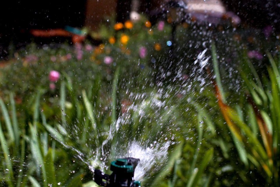 Precious Water Time