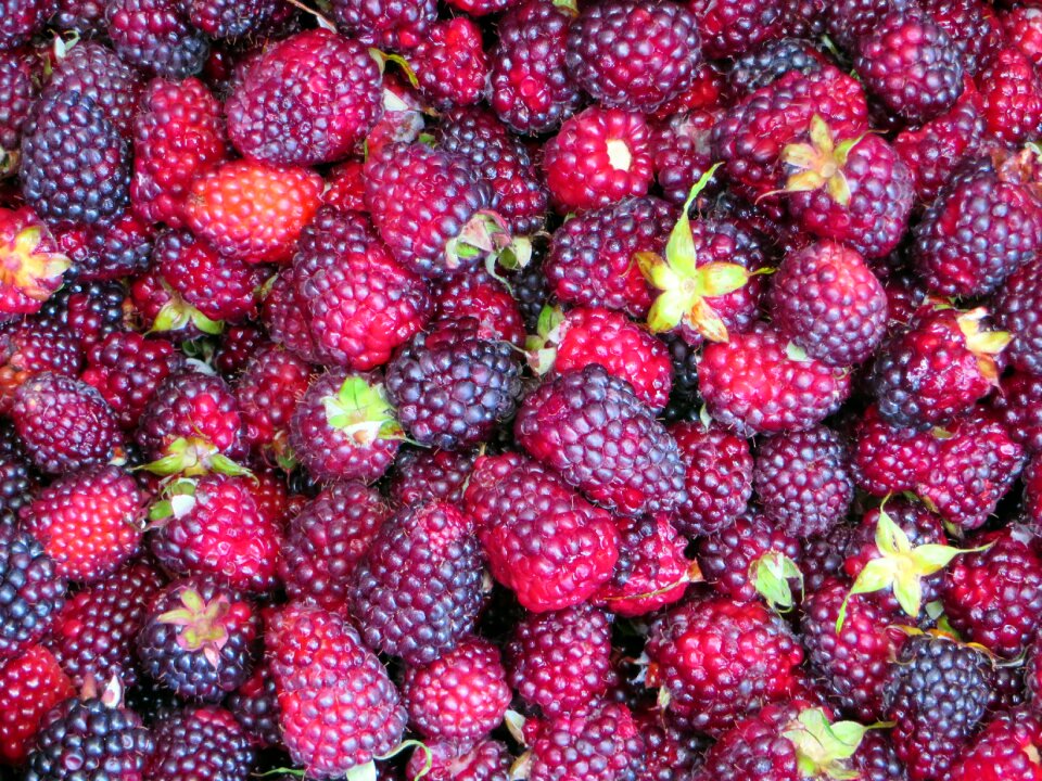Fruit power crates of fruit