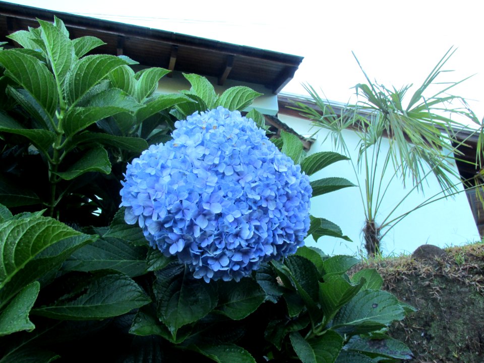 Imagem 014