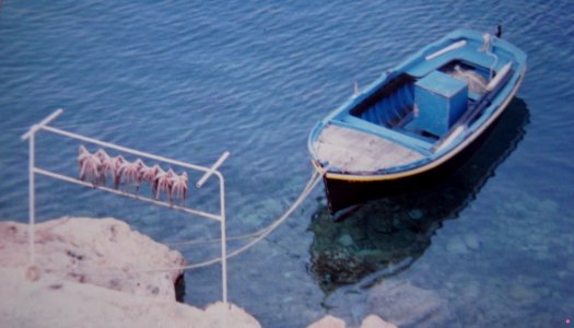 OCTOPIE - LEROS - GREECE