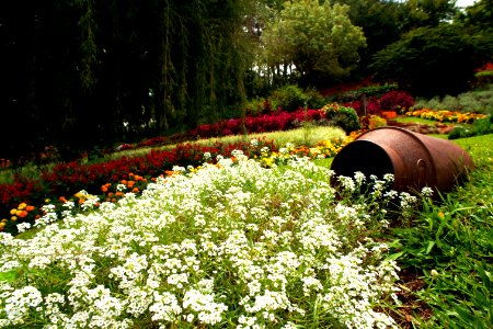 Renato Soares Le Jardin Parque das Lavandas RS