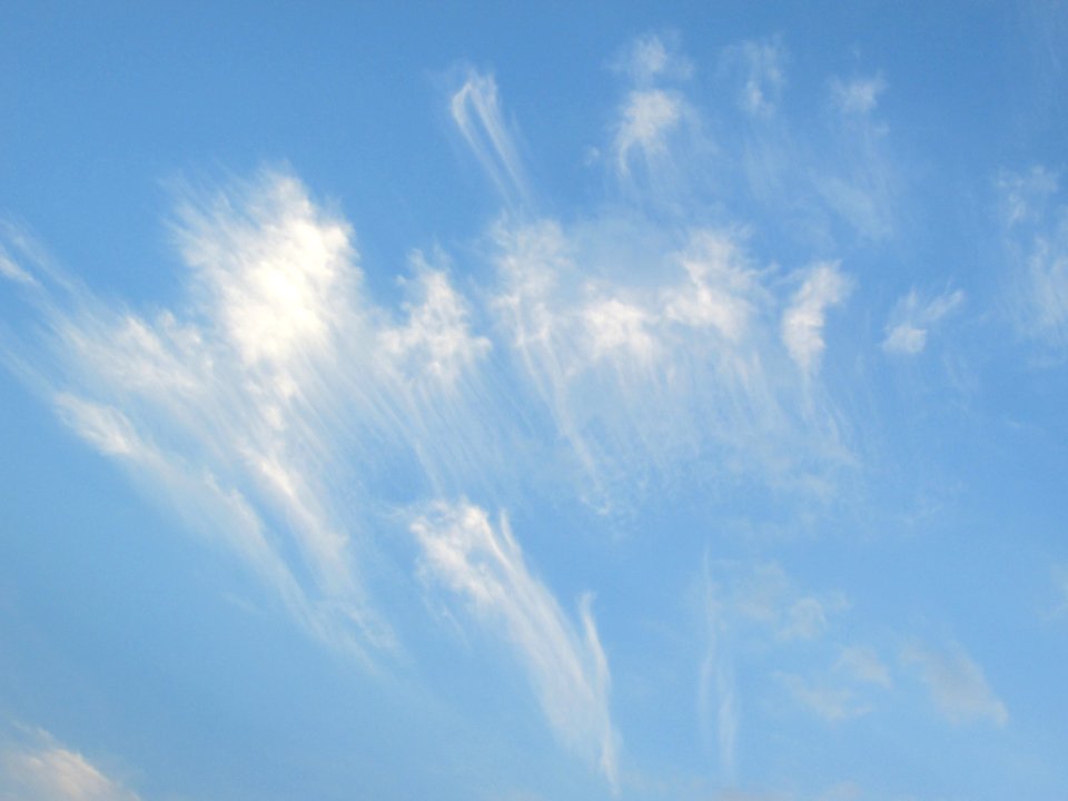 Imagem 010