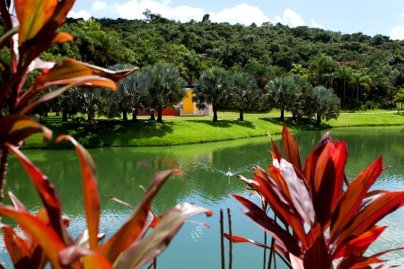 PedroVilela Inhotim Brumadinho MG