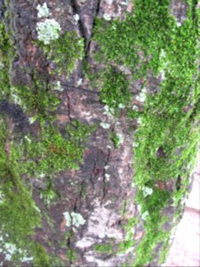 Imagem 012