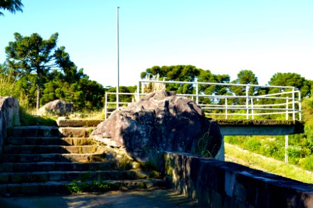 RenatoSoares MirantedosPinheiros ou das Araucarias SaoJoaquim SC (3)