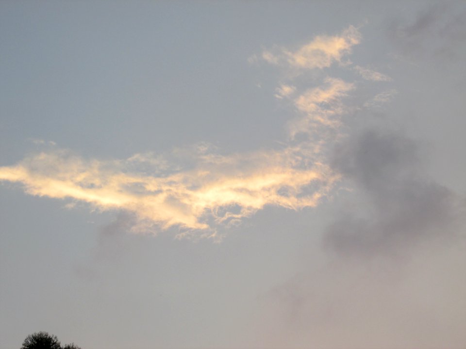 Imagem 011