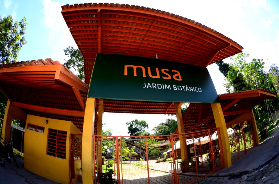 MarioOliveira Musa Manaus AM