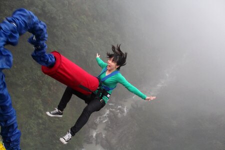 Bridge landscape bungee