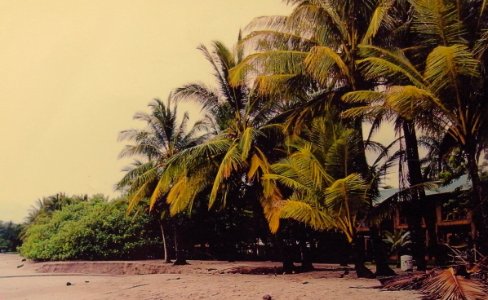 SAMARA - COSTA RICA