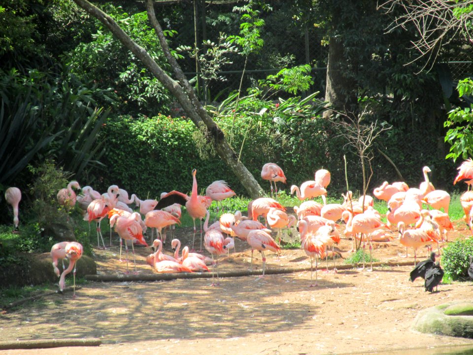 Imagem 016
